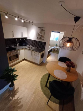 Elegant Apartment In Central Aalborg in Aalborg 